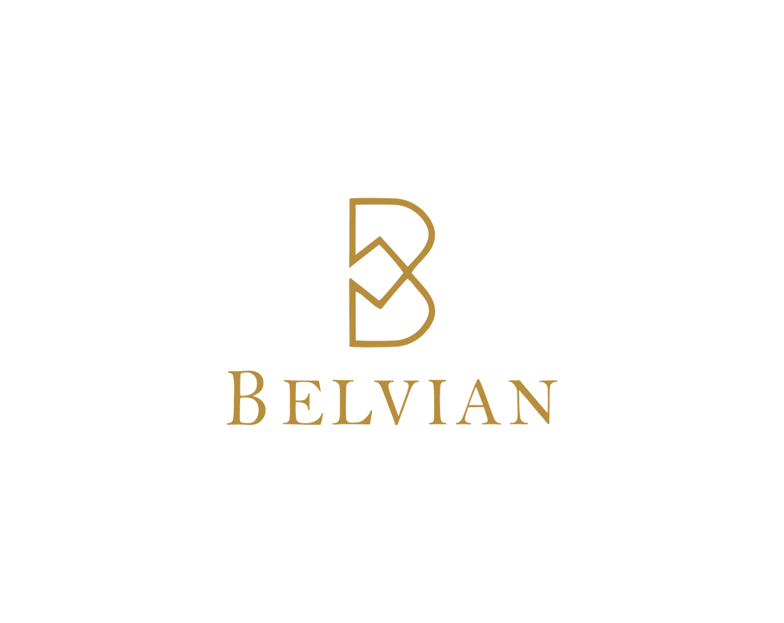 logo (5)